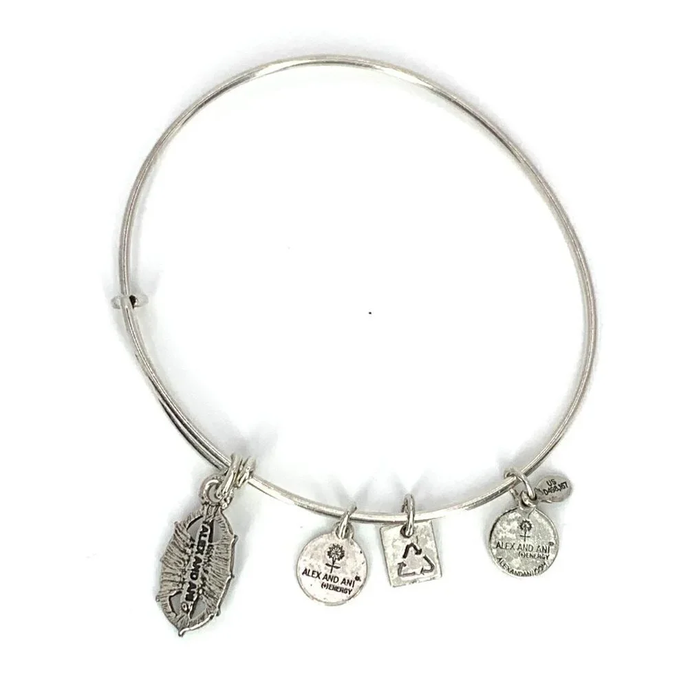 Alex and Ani Compass Charm Bracelet Silver Finish - Expands 2